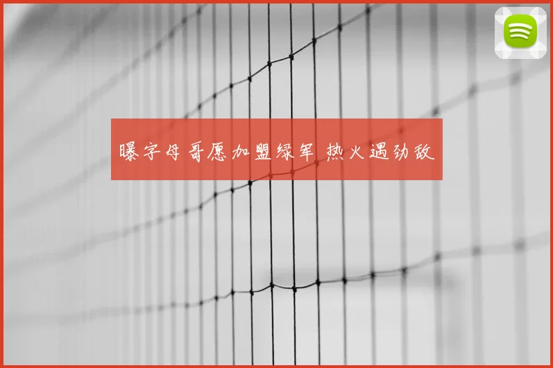曝字母哥愿加盟绿军 热火遇劲敌
