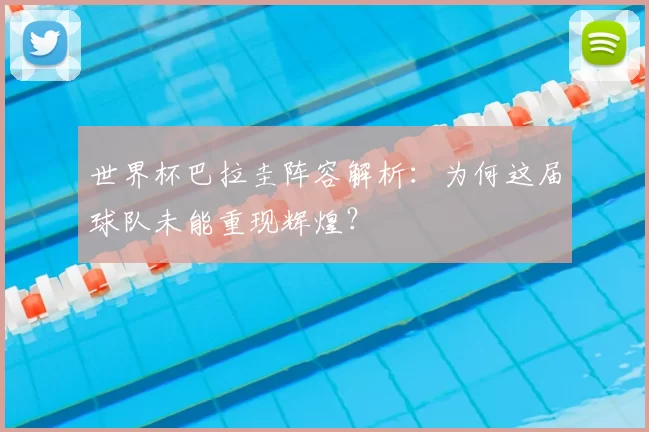 世界杯巴拉圭阵容解析：为何这届球队未能重现辉煌？