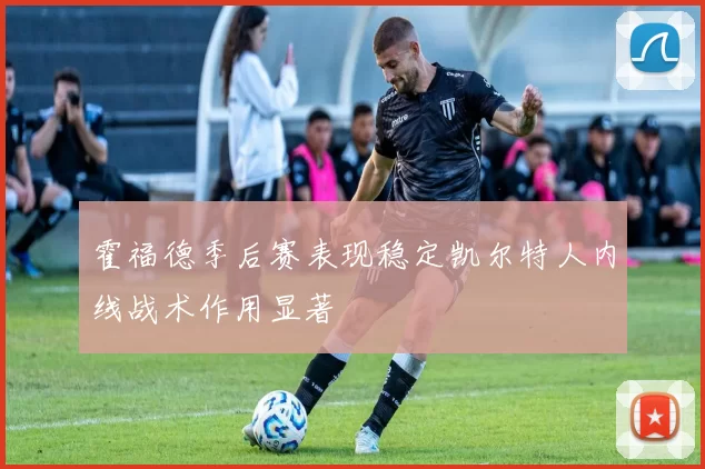 霍福德季后赛表现稳定凯尔特人内线战术作用显著