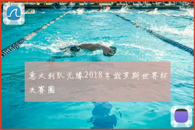 意大利队无缘2018年俄罗斯世界杯决赛圈