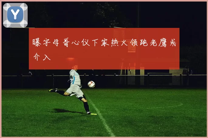 曝字母哥心仪下家热火领跑老鹰或介入