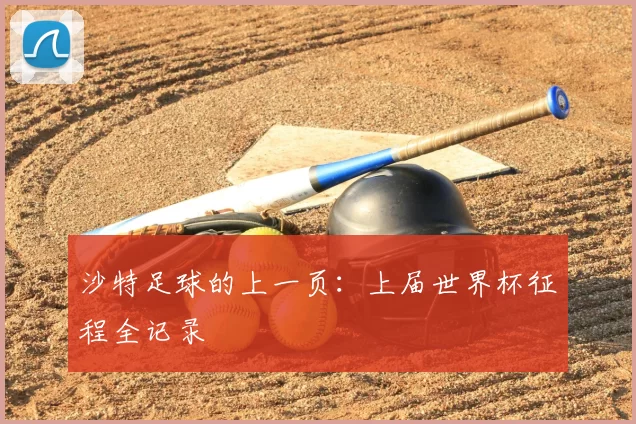 沙特足球的上一页:上届世界杯征程全记录