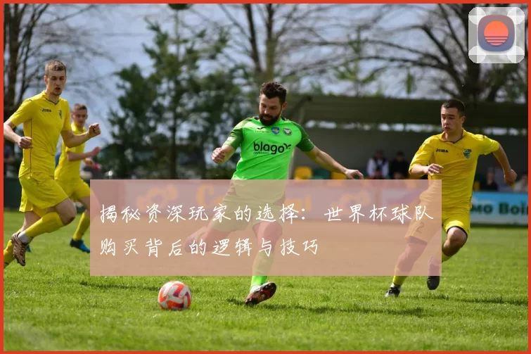 揭秘资深玩家的选择:世界杯球队购买背后的逻辑与技巧
