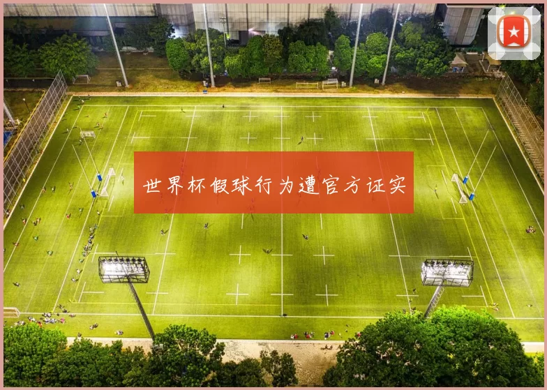 世界杯假球行为遭官方证实