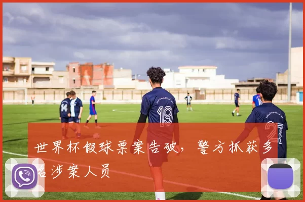 世界杯假球票案告破,警方抓获多名涉案人员