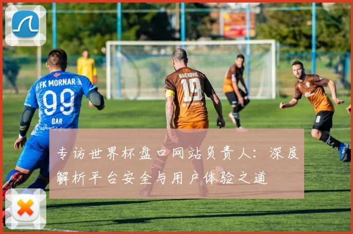 专访世界杯盘口网站负责人：深度解析平台安全与用户体验之道