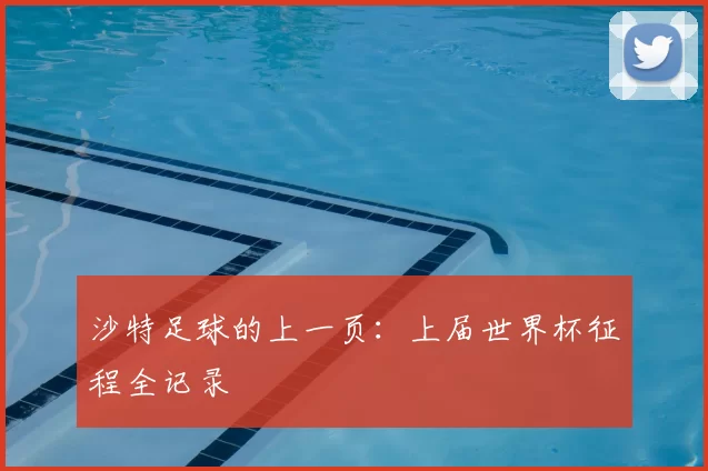 沙特足球的上一页:上届世界杯征程全记录
