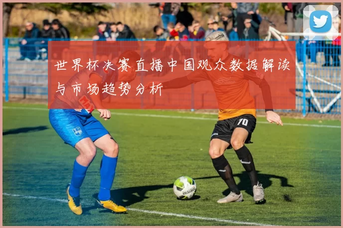 世界杯决赛直播中国观众数据解读与市场趋势分析