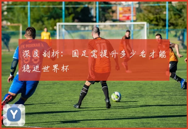 深度剖析:国足需提升多少名才能稳进世界杯
