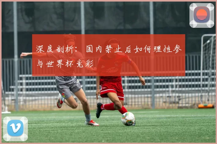 深度剖析:国内禁止后如何理性参与世界杯竞彩